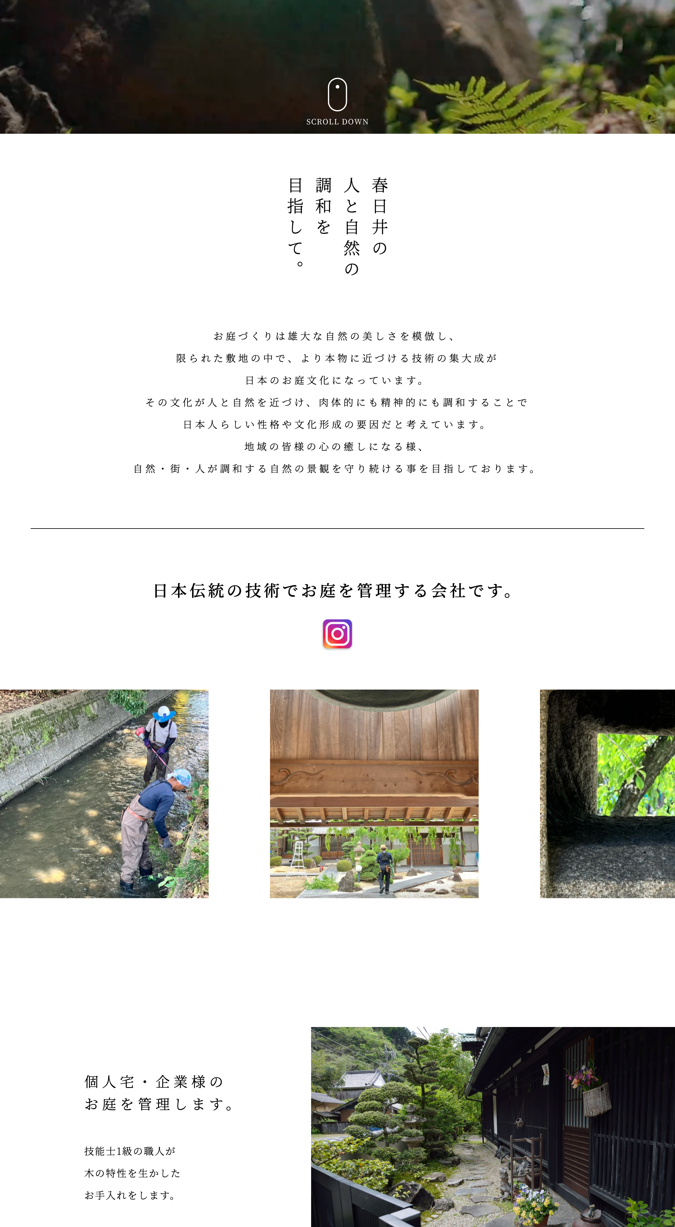 画像4152：冷凍パンの製造メーカー LP