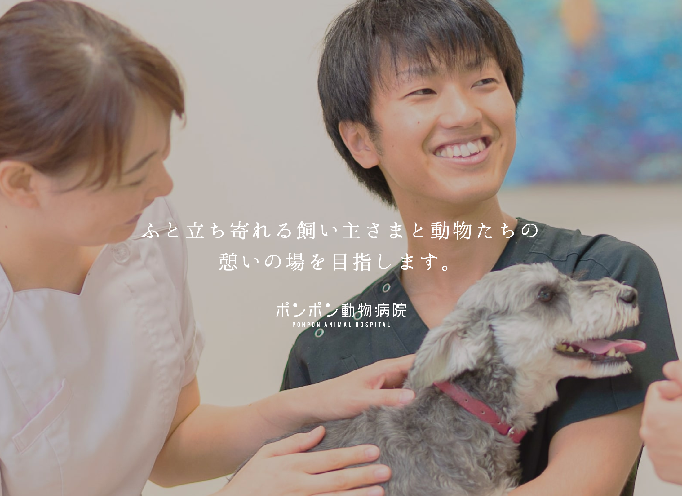 画像4191：ポンポン動物病院 コーポレートサイト
